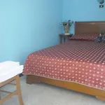 Hotel Aurora 3*